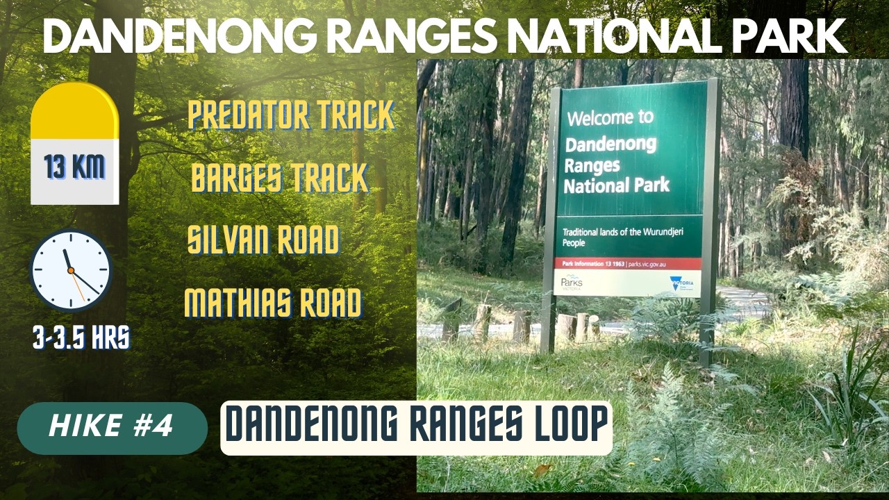 Hike #4  I Dandenong Ranges Loop (13 KM) I Dandenong Ranges National Park