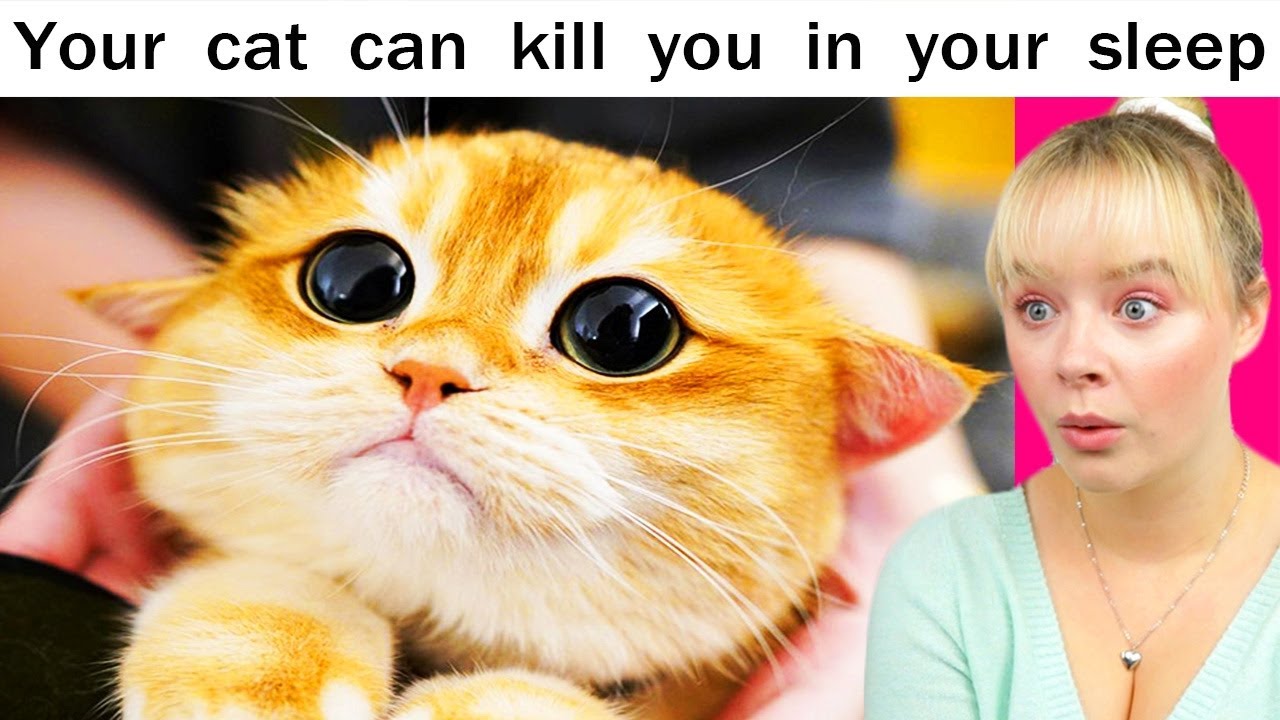 Random Facts You Didn't Know