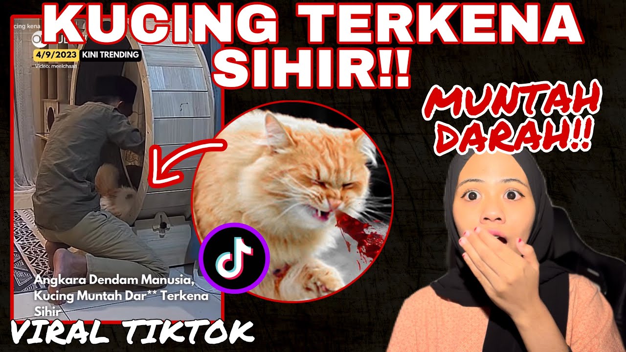 VIRAL TIKTOK KUCING NI TERKENA SIHIR‼️ SAMPAI MUNTAH DAR4H 😱