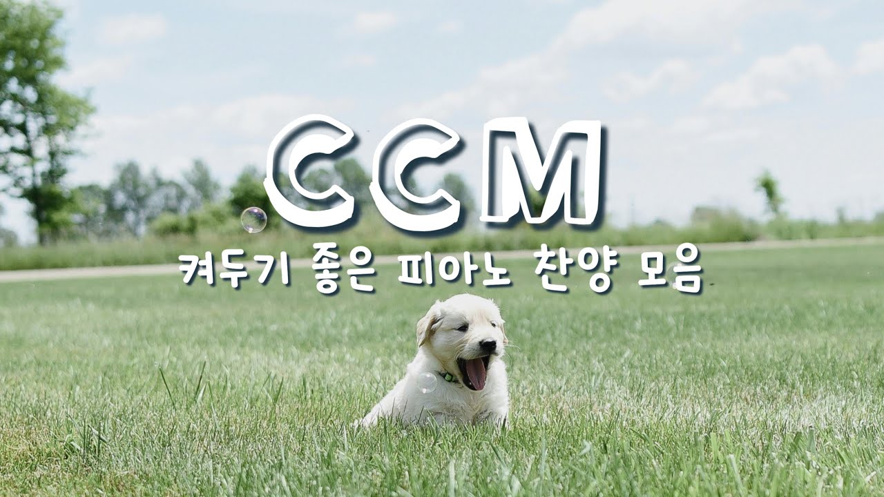 [𝐏𝐥𝐚𝐲𝐥𝐢𝐬𝐭] 하나님의 사랑이 가득 느껴지는 여름찬양💚 | 피아노 찬양 모음 | Worship Piano Playlist