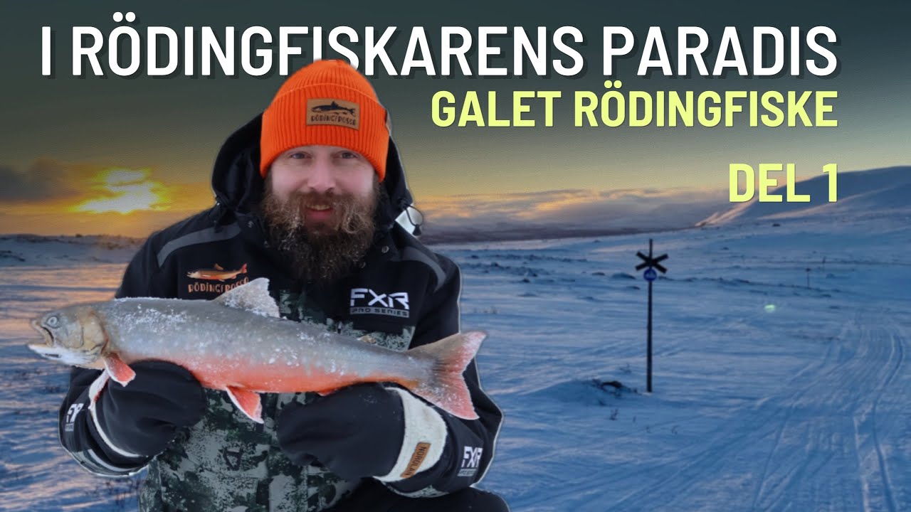 I RÖDINGFISKARENS PARADIS - Galet rödingfiske Del 1 (English subtitles)