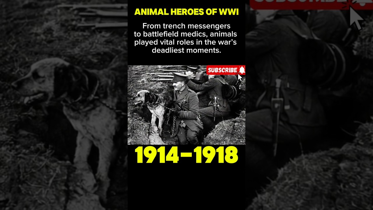 Silent Heroes of WWI |  How Animals Saved Lives on the Battlefield (1914&ndash;1918) #shorts