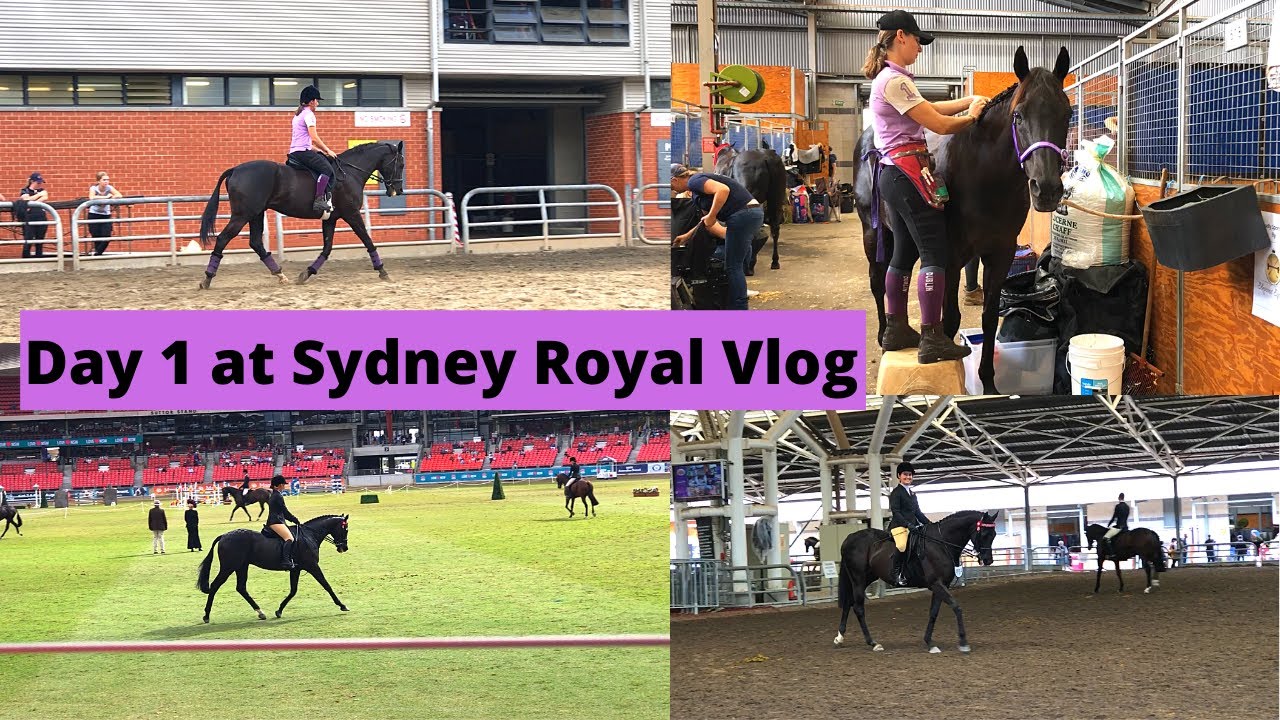 Part 2 My First Sydney Royal Easter Show with Teddy 2021 | Horse Show Vlog