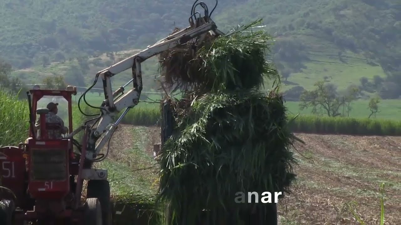 Modelo de Gestión Integral para el Campo Cañero Mexicano