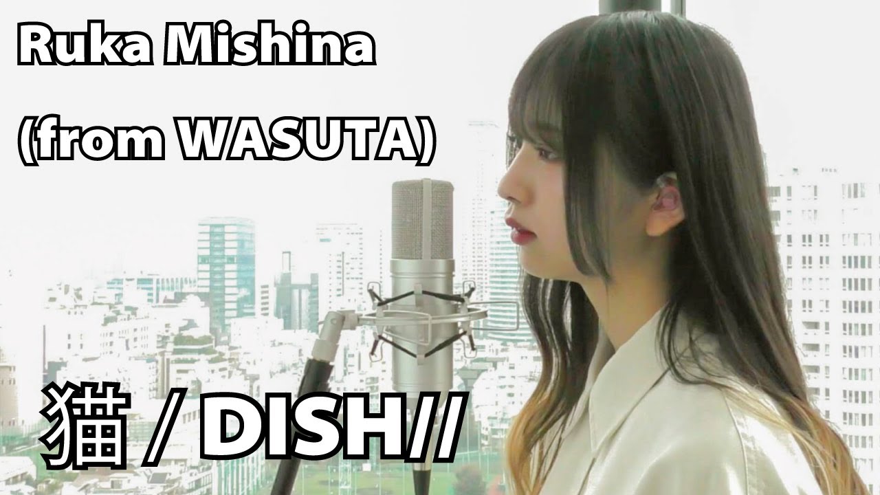 三品 瑠香（from WASUTA）vocal cover of / DISH//「猫」