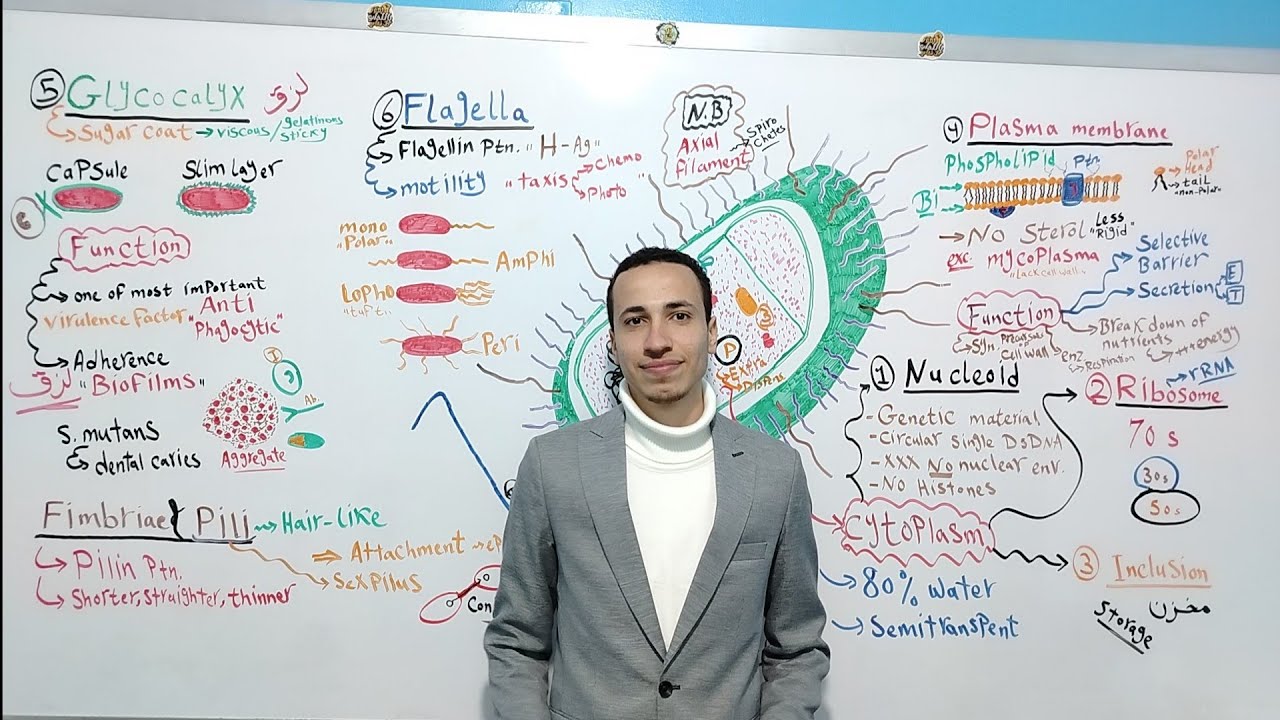 Bacterial Structure part 1 | Dr. Mohamed El Kot