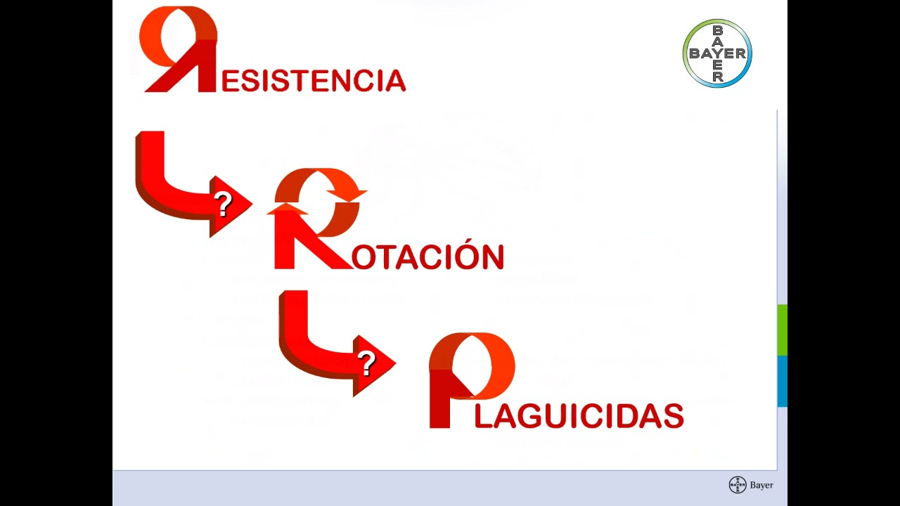 Charla: Biología y control de plagas en Industria Alimentaria
