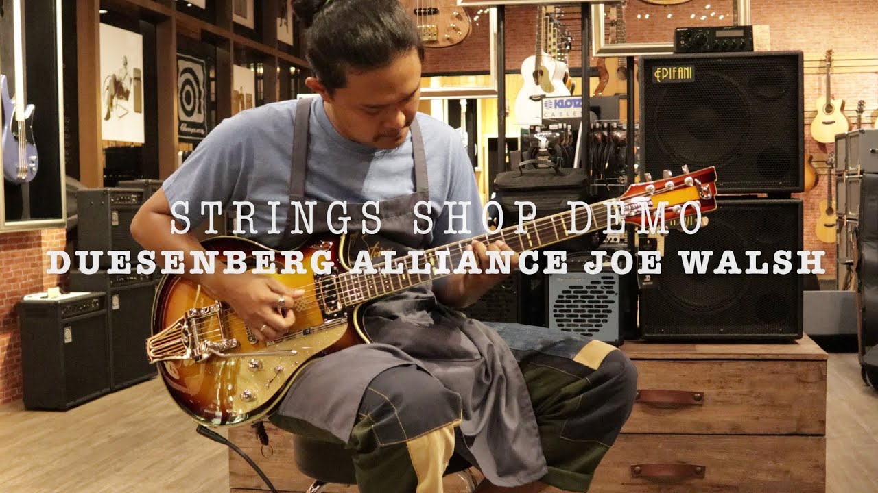 STRINGS SHOP DEMO : DUESENBERG ALLIANCE JOE WALSH