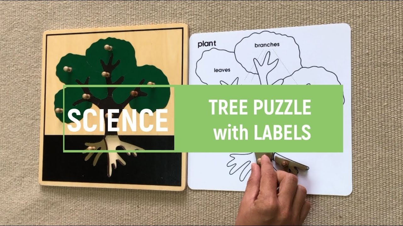 [VMI] Science - Tree Booklet - Parts of the tree - Montessori