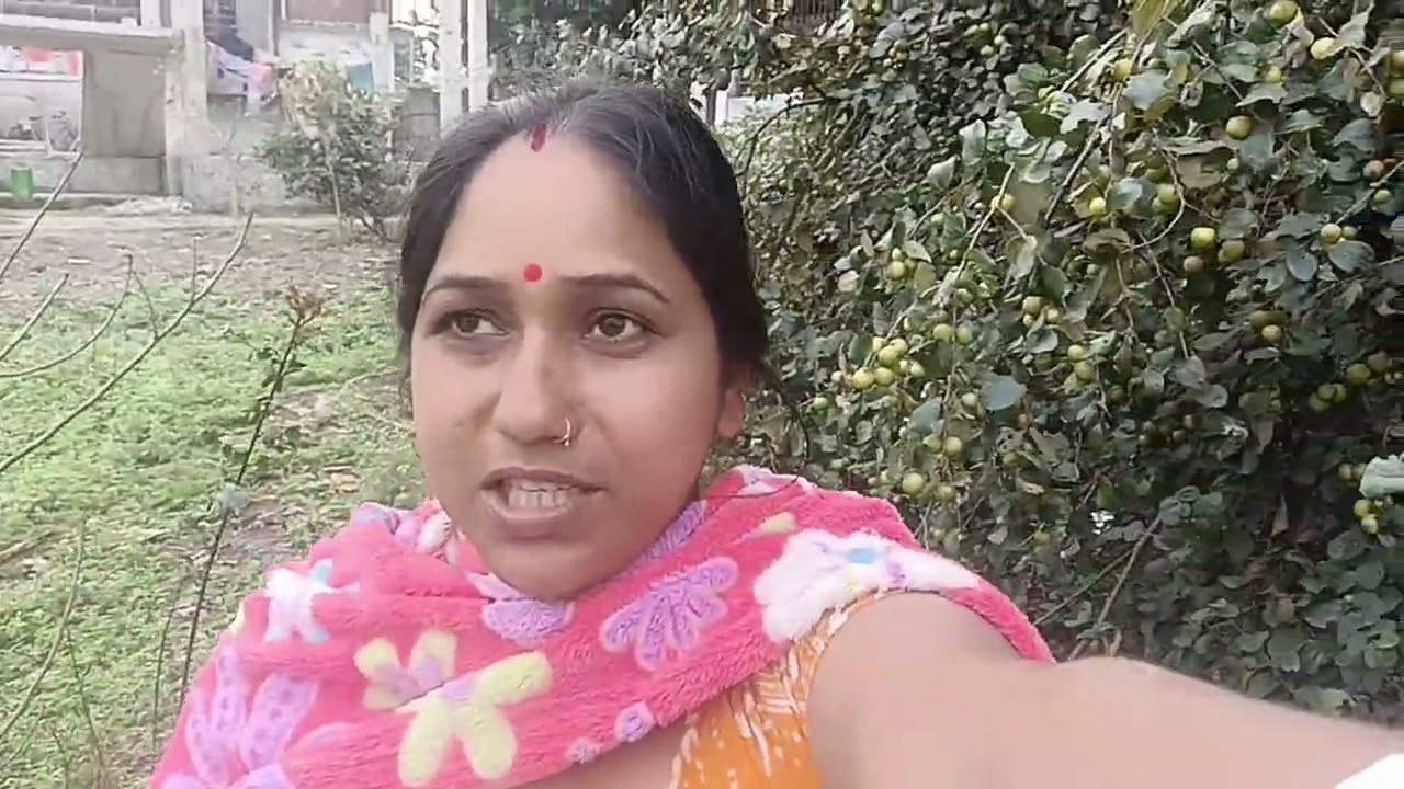 আমাদের কুল গাছের ভিডিওটা তোমাদের সাথে শেয়ার করলাম