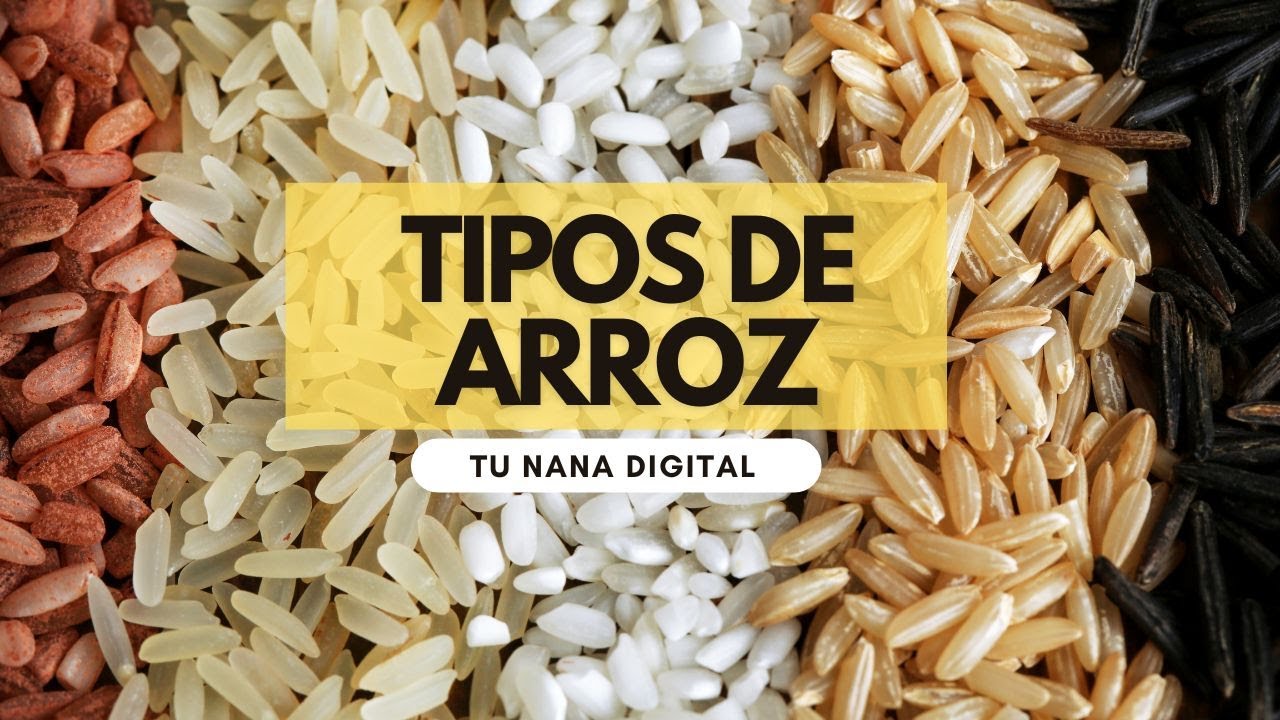 Tipos de ARROZ - Cual es mejor para cada plato