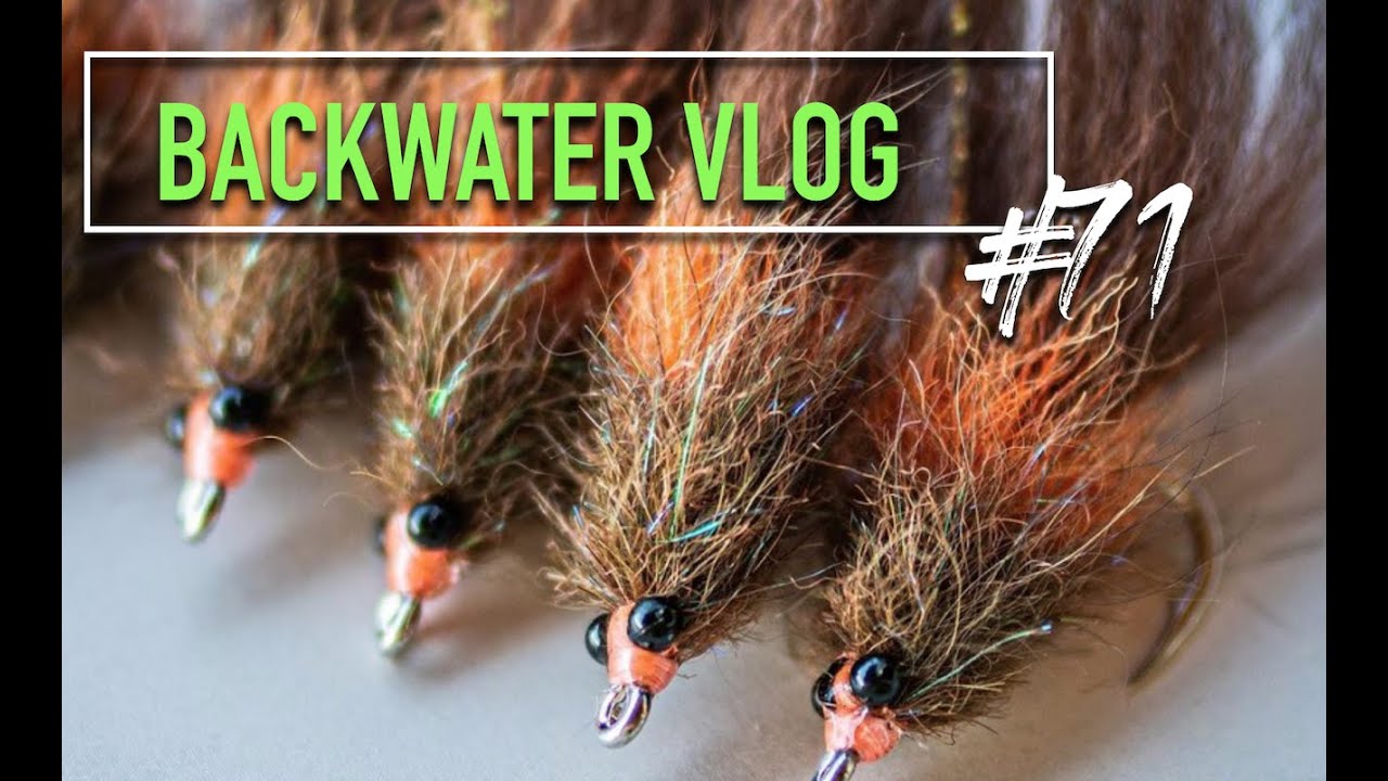 Fly Tying A Tarpon Shrimp Fly Pattern: BACKATER VLOG #71