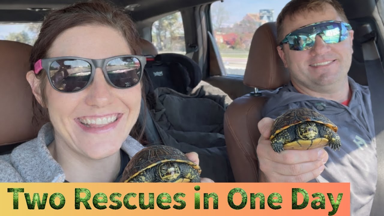 TWO RESCUES...ONE WILL BREAK YOUR HEART