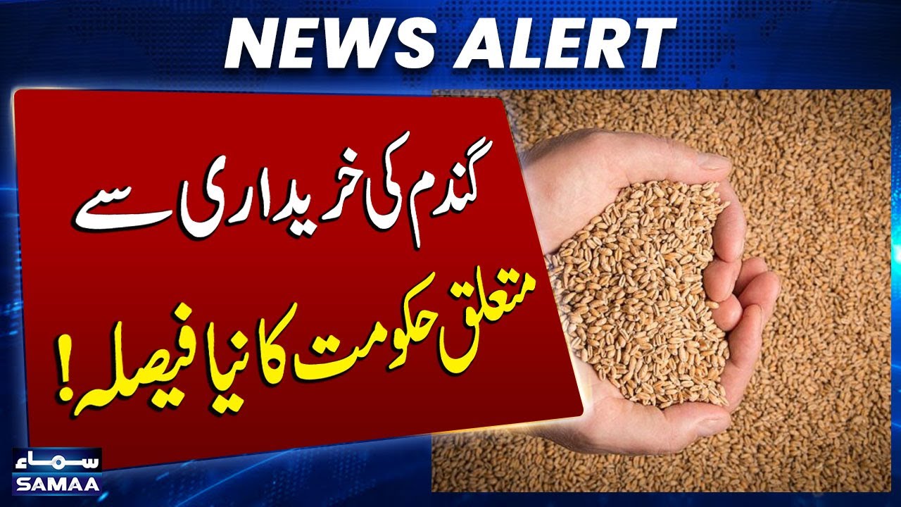 Govt Withdraws from Wheat Market Amid IMF Reforms | SAMAA TV