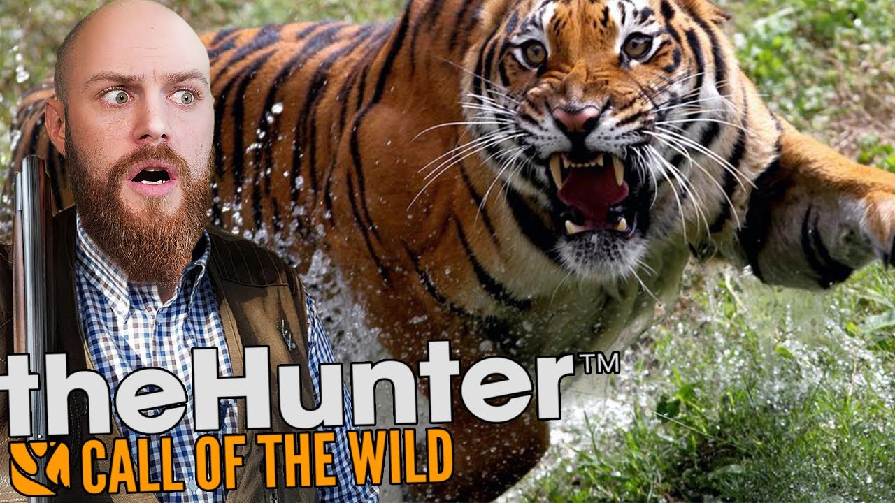 DES TIGRES Dans un jeu de Chasse ! The Hunter Call of the Wild