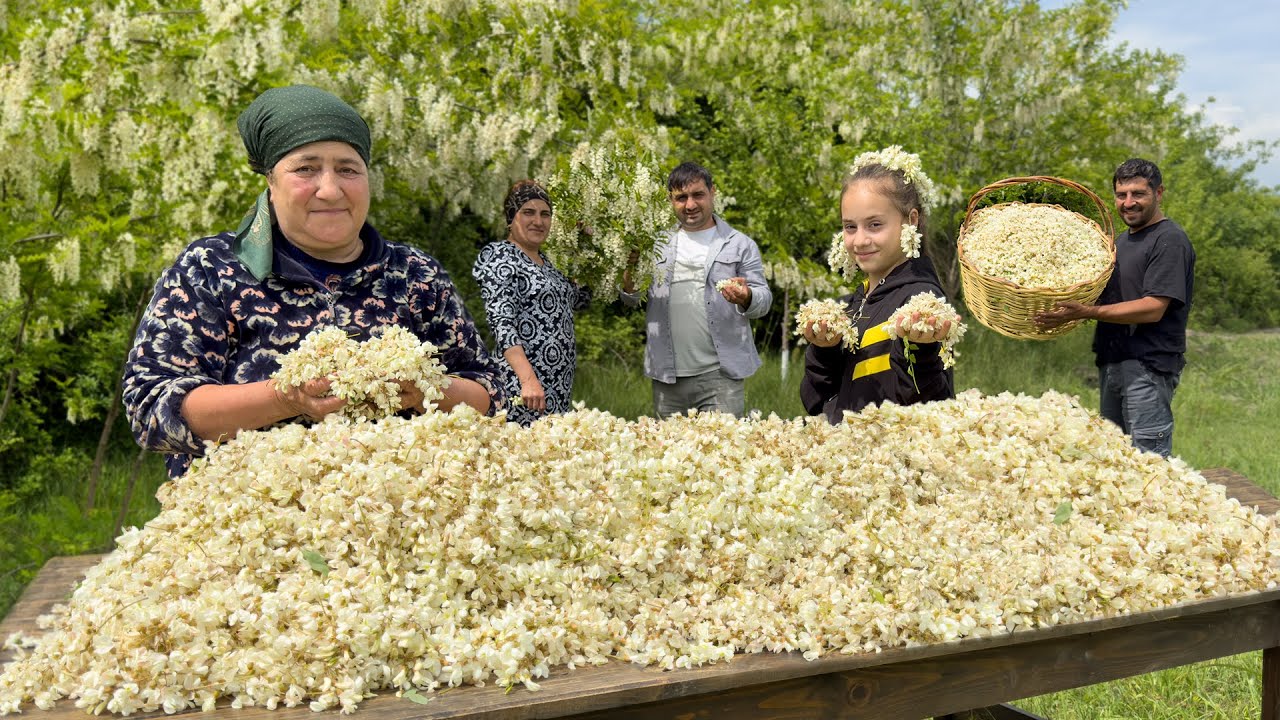 HARVESTING ANGEL WHITE LILAC FLOWERS | Lilac Jam and Compot Recipe Cooking In Village | Hard Life