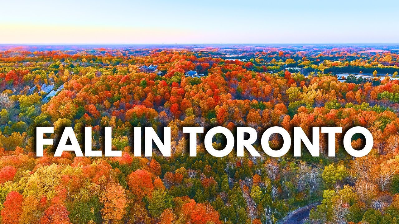Autumn in Toronto| Stunning Fall Foliage, Parks & City Views in Ontario, Canada