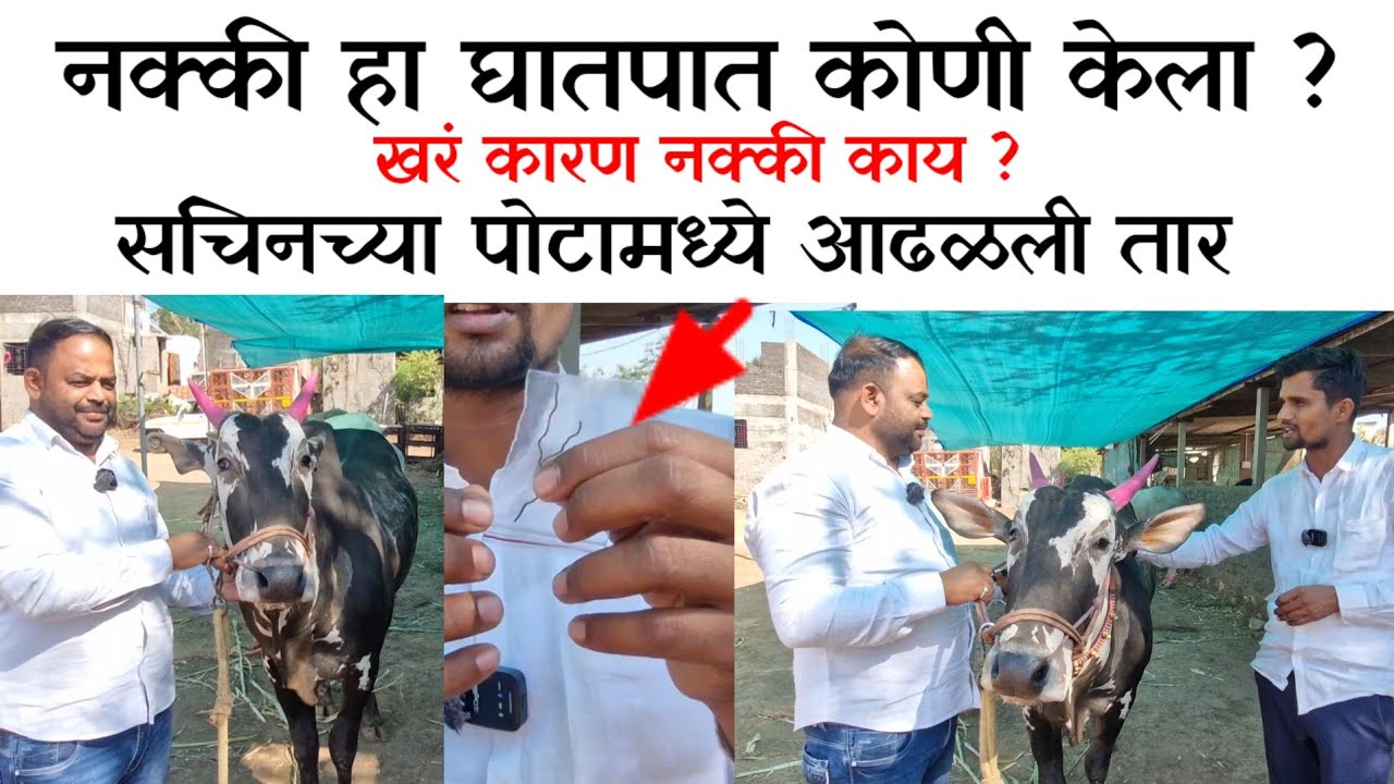 हिंदकेसरी सचिन मुलाखत रोखठोक