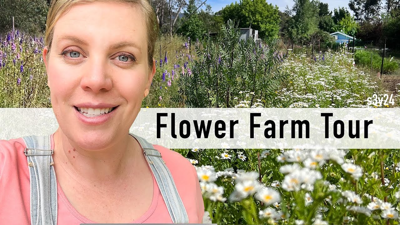 Cut Flower Farm Tour | Early Summer Australia | Noble Flowers