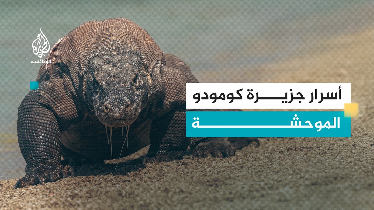 إندونيسيا واكتشاف المجهول - 1 دراجون كومودو