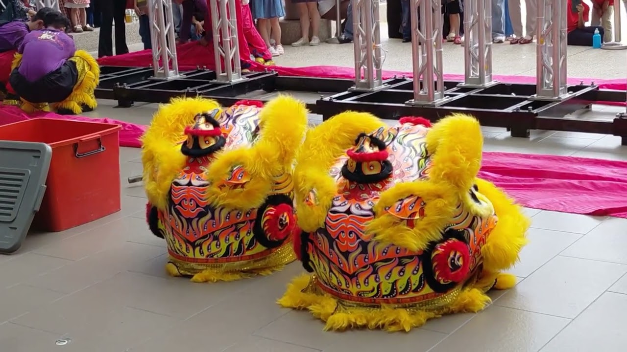 Tarian Naga Di Setia City Mall Shah Alam || Pengalaman Melihat Anak2 Naga Dari Awal Sampai Akhir!!