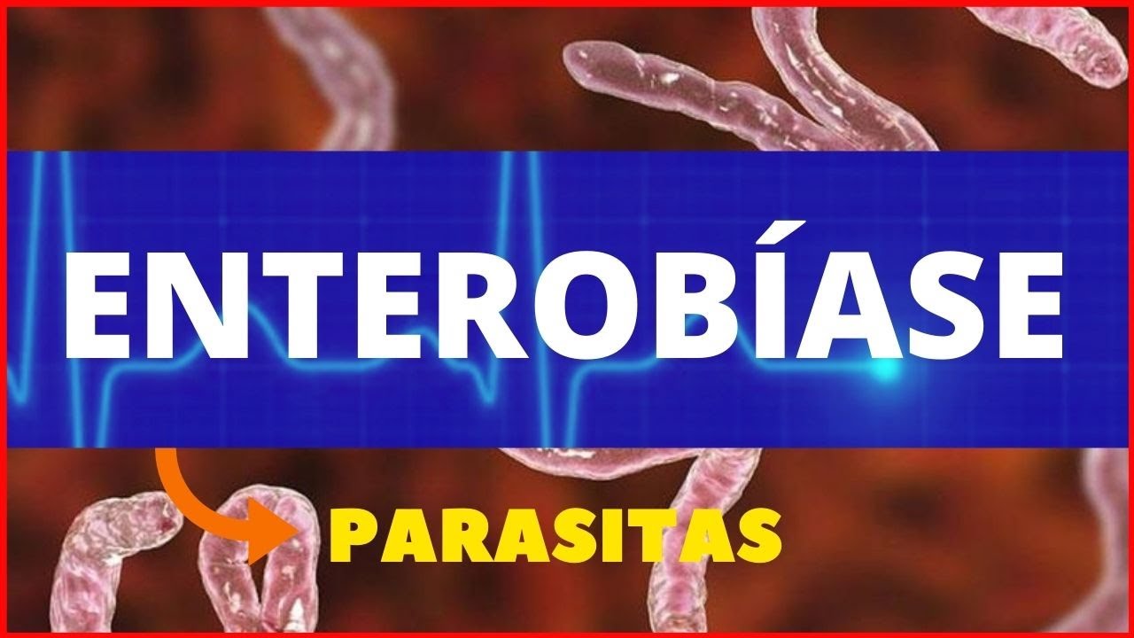 ENTEROBÍASE | OXIURÍASE - ENTEROBIUS VERMICULARES - PARASITOLOGIA - OXIUROSE OU ENTEROBIOSE