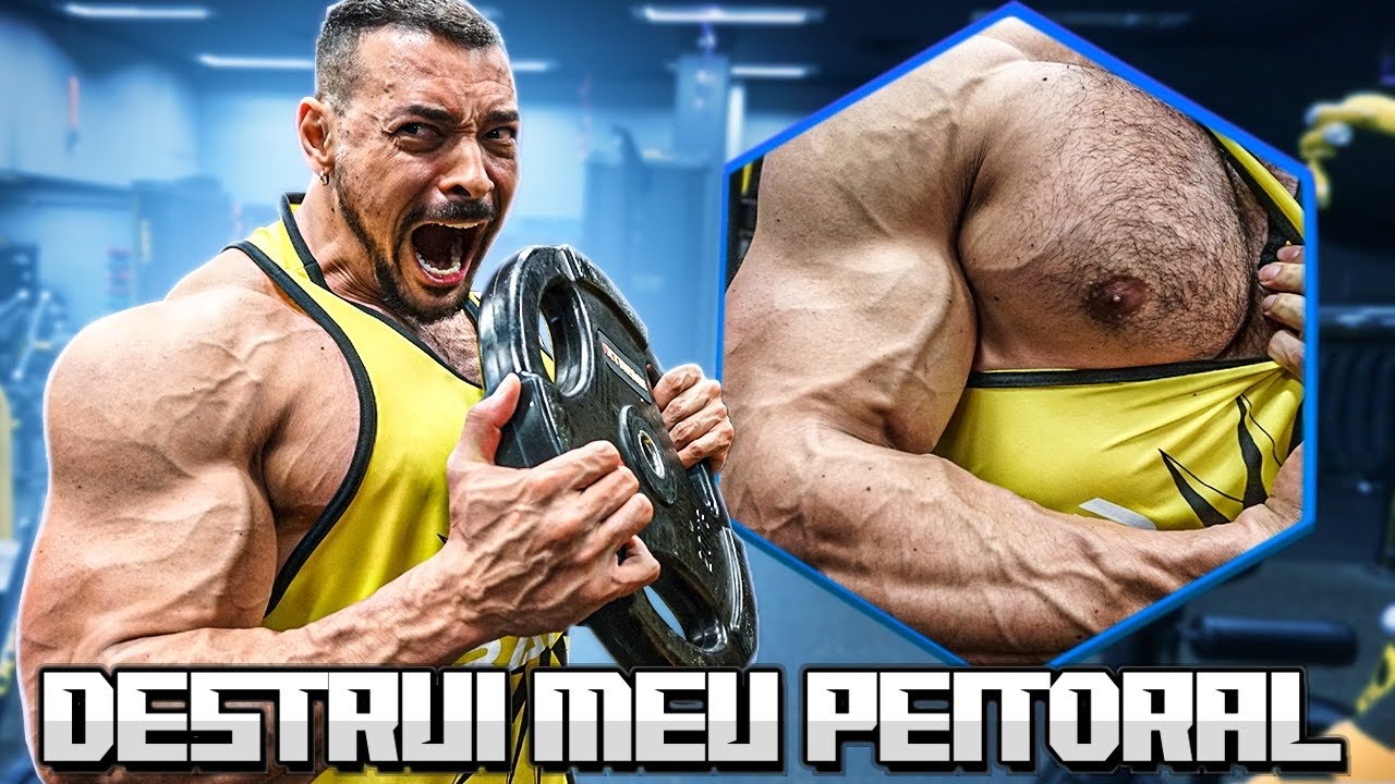 DESTRUÍ MEU PEITORAL *TÉCNICA NOVA*
