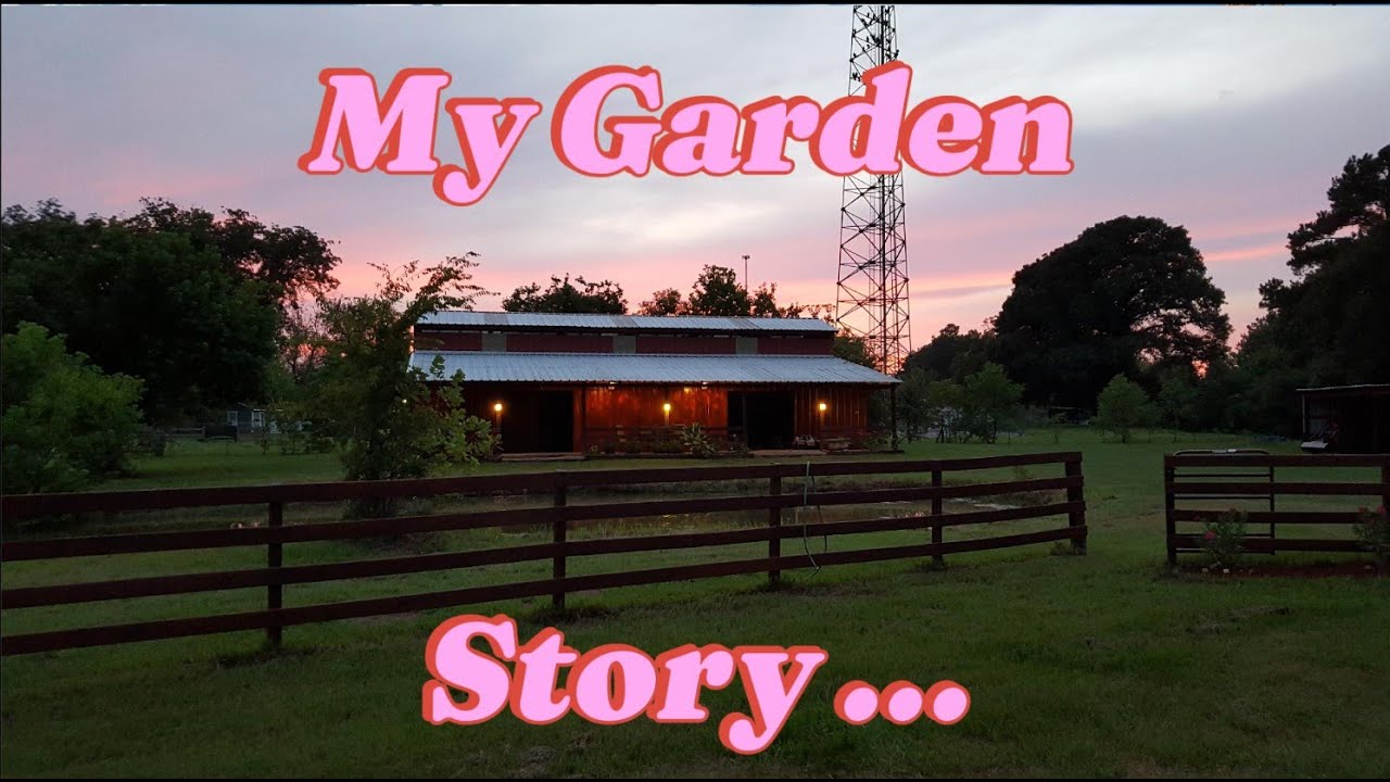 From Backyard Gardens to a Small Farm Garden / Our Homestead Story