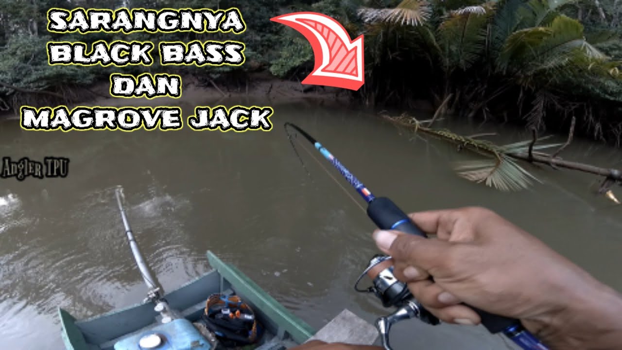 CAPUNG 762 || CASTING BLACK BASS & MANGROVE JACK