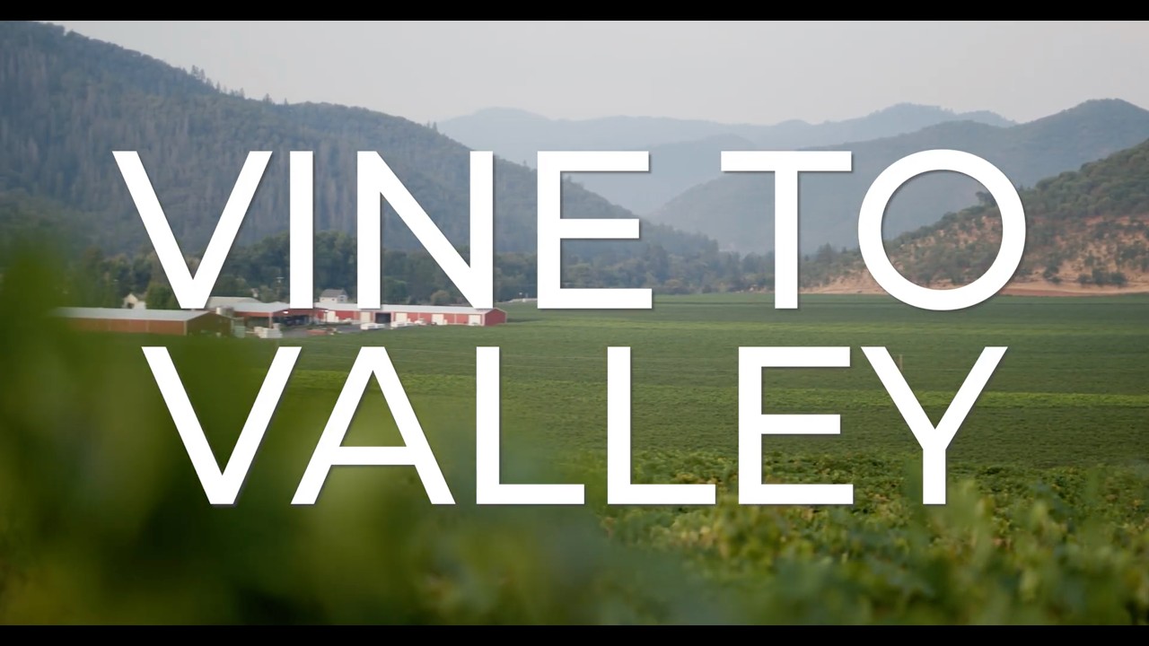 We Are Rogue Valley: Vine to Valley