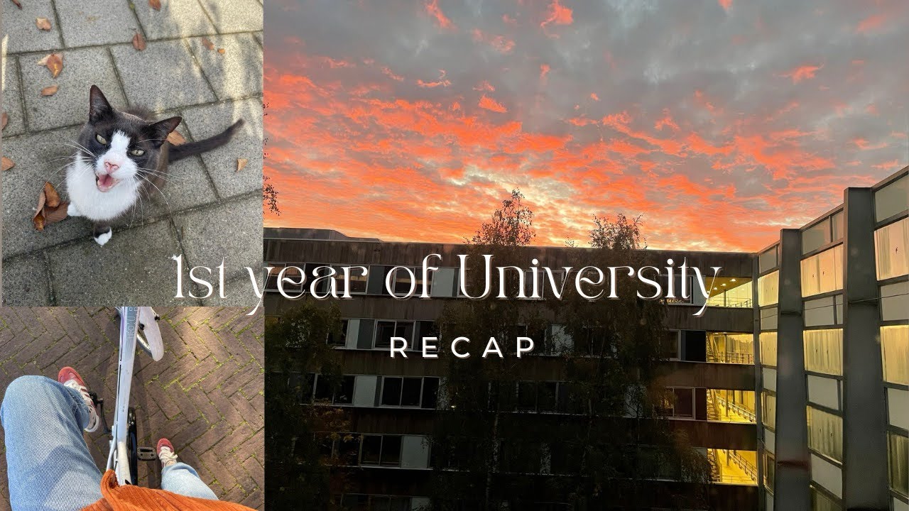 An overview of my first year at AUC!