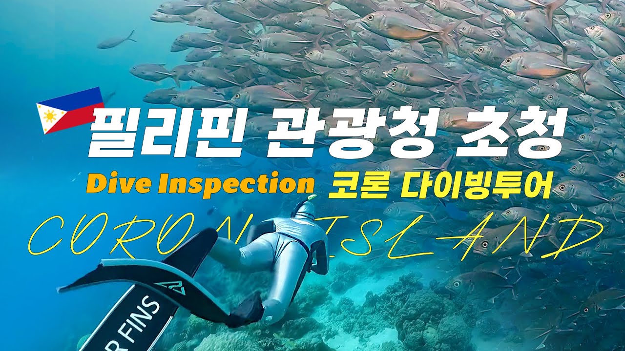 *필리핀 관광청 초청* 다이브답사 to 코론  | 난파선포인트~다이브리조트 구석구석 살펴보고 왔어요🎶