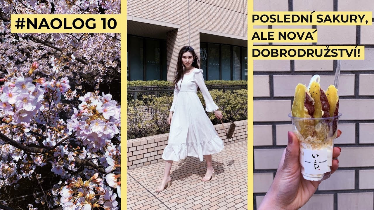 #NAOLOG 10 | Poslední letošní sakury, objevení nové čtvrti a nejlepší zmrzlina světa!