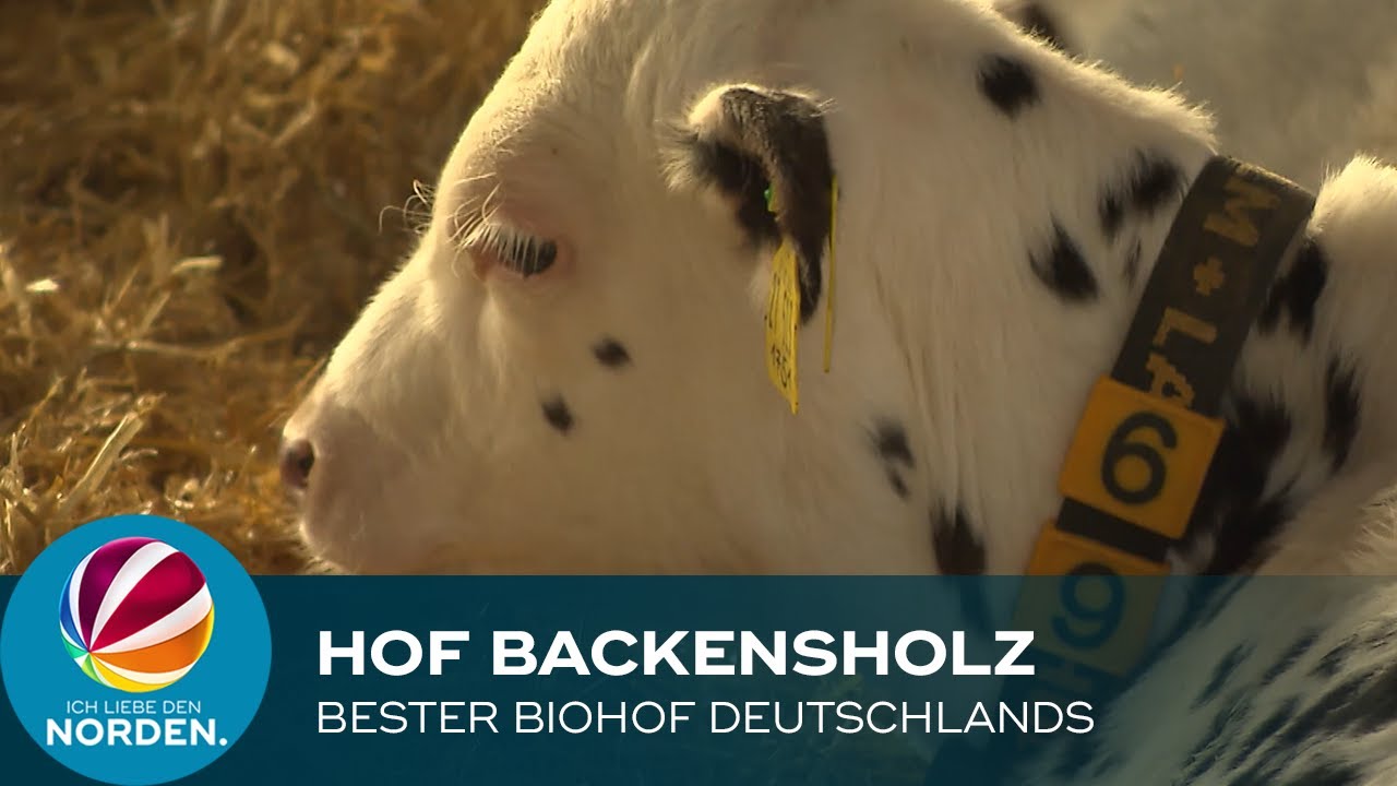 Der beste Biohof Deutschlands ist der Hof Backensholz in Nordfriesland