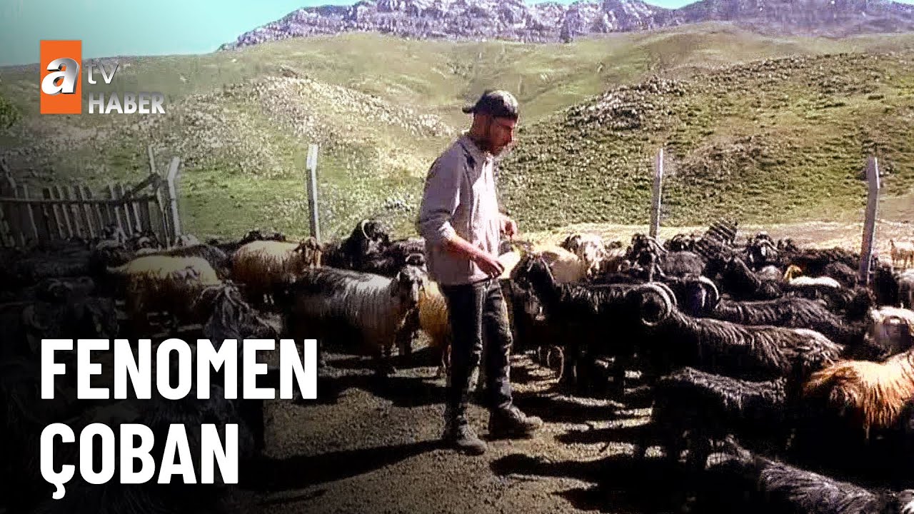 Sosyal medyanın fenomen &ccedil;obanı - atv Ana Haber 9 Ekim 2023