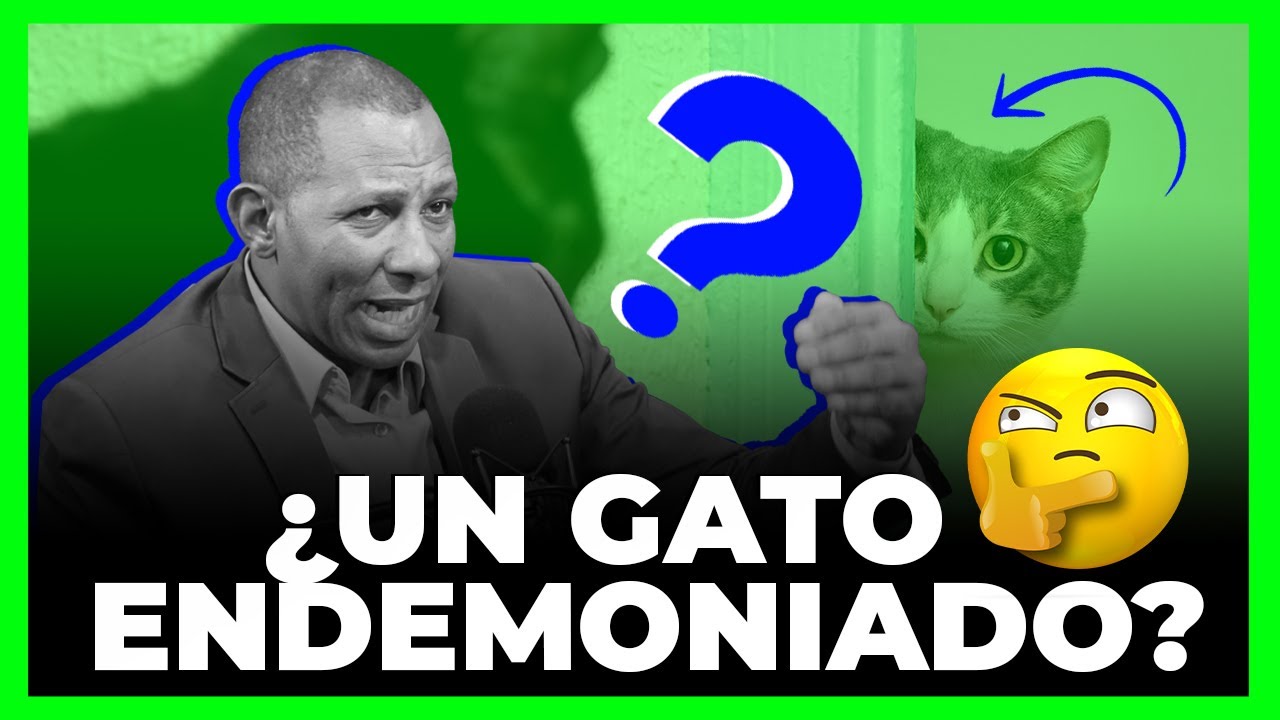 TENIA UN GATO ENDEMONIADO EN MI CASA QUE HABLÓ!!