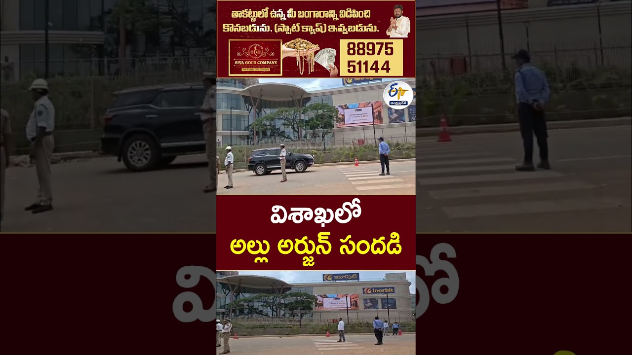 విశాఖలో అల్లు అర్జున్ సందడి