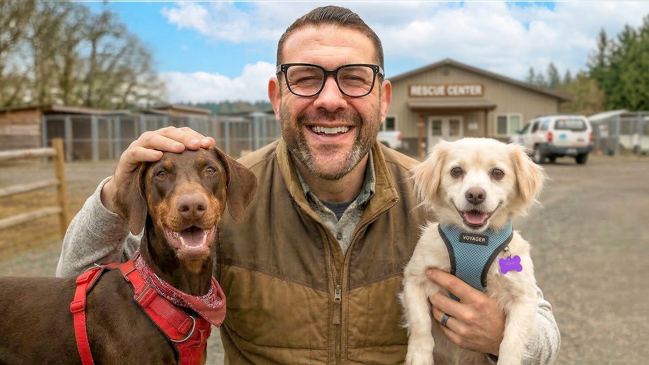 I Gave 2 Rescue Dogs A New Home