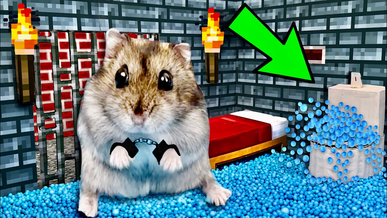 🐹🧨MINECRAFT Hamster Maze with Traps 😱[OBSTACLE COURSE]😱