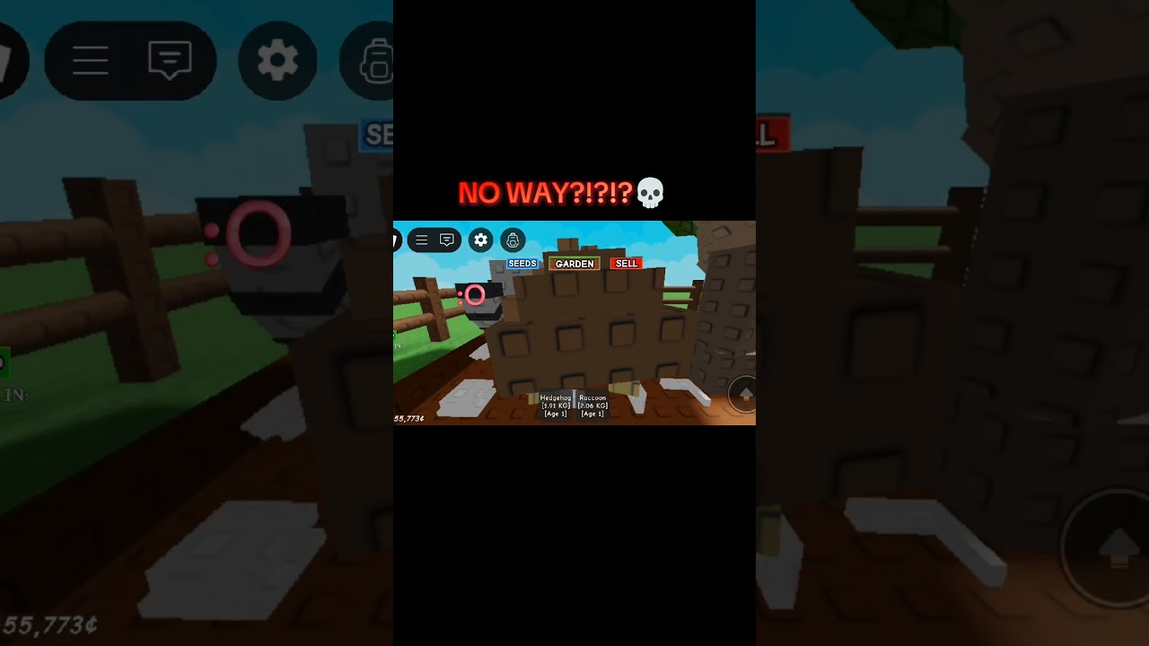 Hatching another 3 night egg in Grow a Garden!! NO WAY I GOT RACCOON!!!!