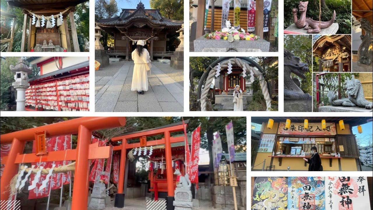 【Tokyo 】⛩️田無神社『Tanashi Shrine』Đền Ngũ Long Thần-Five Dragon Godsl#田無 #神社 #神様 #japan #tokyo #shrine 