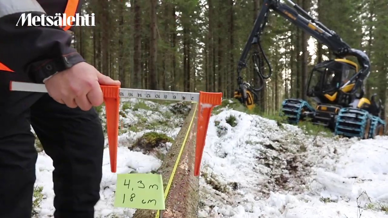 Puutavaran katkonta tarkastelussa | Metsälehti