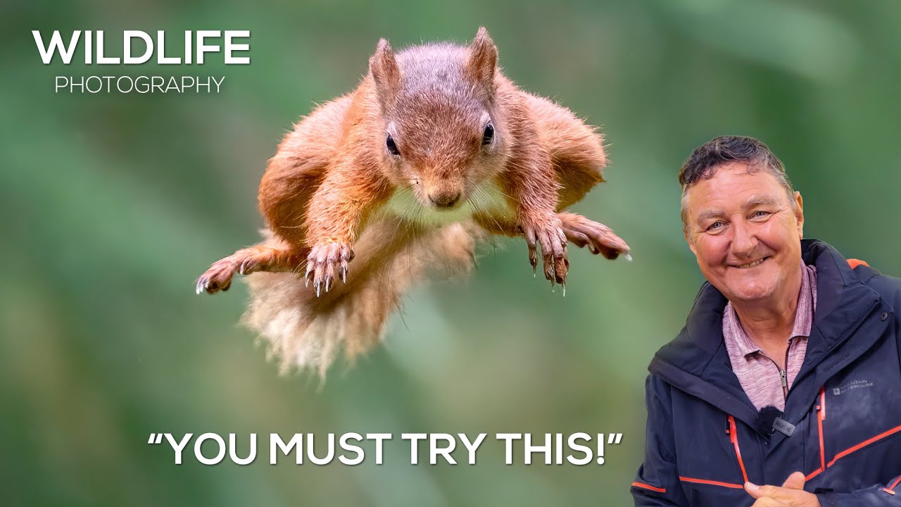 How to Photograph Squirrels INCREDIBLE PORTFOLIO images