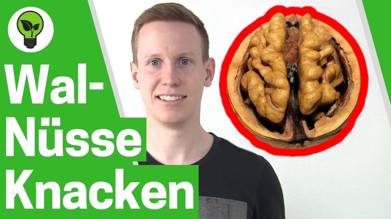 Waln&uuml;sse Knacken OHNE Bruch ✅ ULTIMATIVE ANLEITUNG: Wie Walnuss, Baumnuss & N&uuml;sse richtig &Ouml;ffnen???