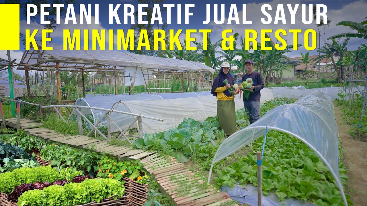 Lulusan Pesantren Ubah Pertanian Konvensional Jadi Modern Penjualan Tembus Ke Minimarket & Resto