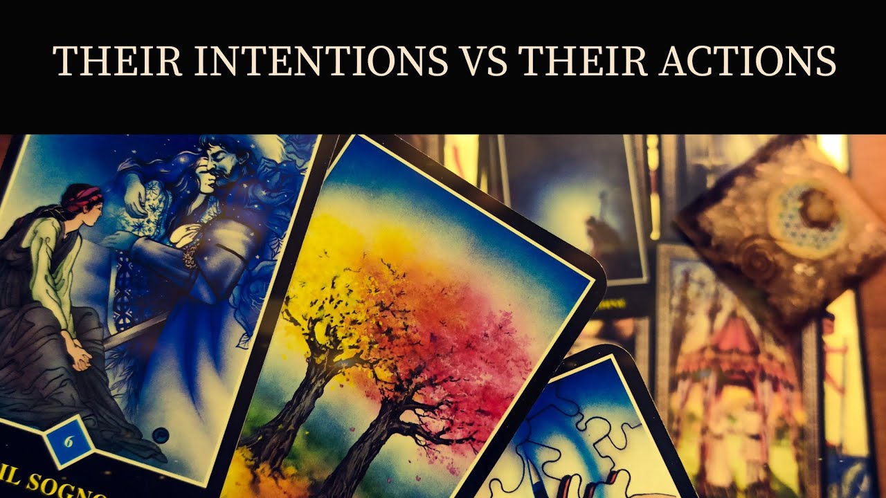 PICK A CARD:  THEIR INTENTIONS VS THEIR ACTIONS. TAROT TIMELESS READING.