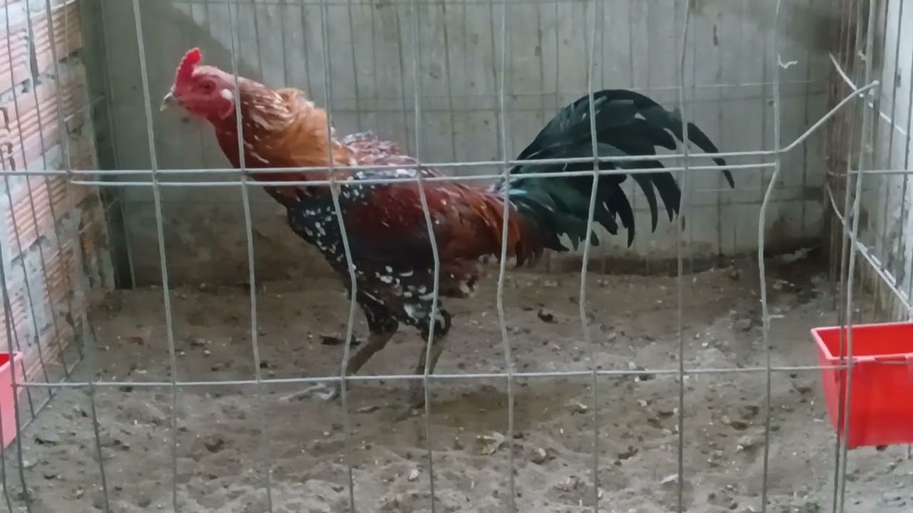 091877 oai 5934 ngày 20 tháng 3 năm  2026