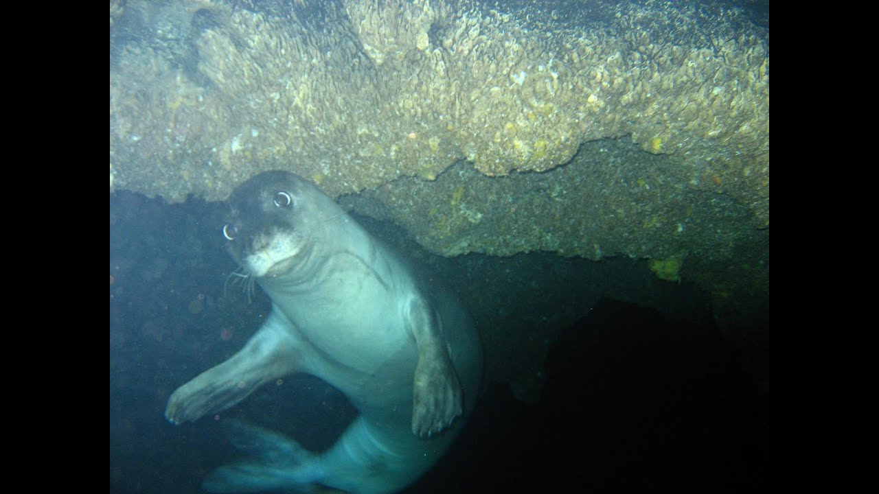 Diving in Alanya  Turkey