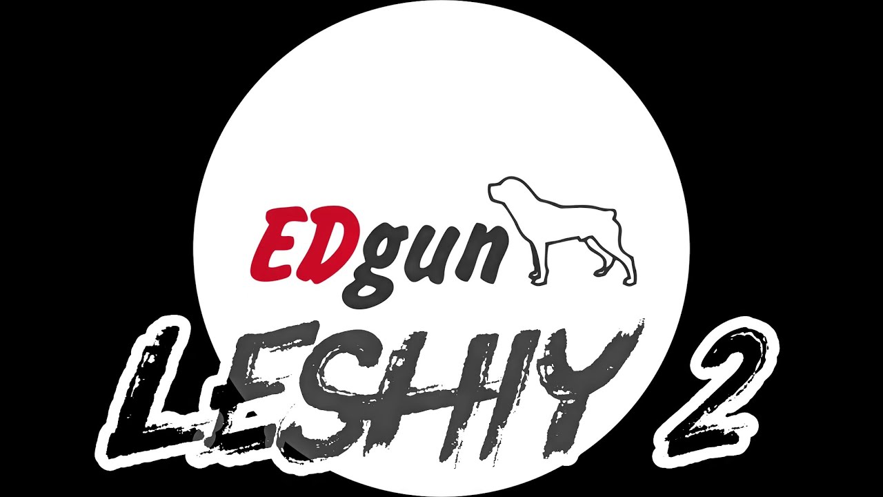 EDgun Leshiy 2 on the gun range