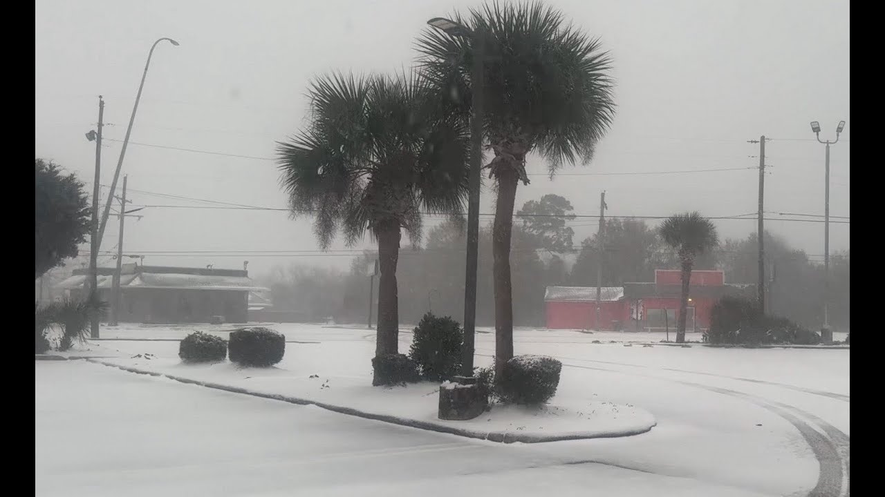 January 31, 2026 North Carolina Winter Storm